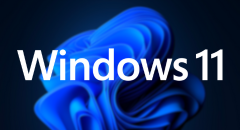 TeamViewer for Windows 11